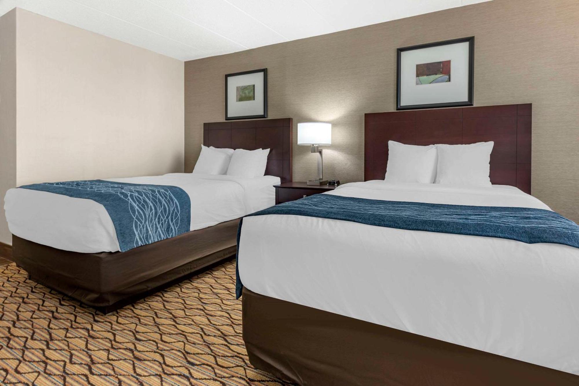 Comfort Inn & Suites Glen Mills - West Chester מראה חיצוני תמונה