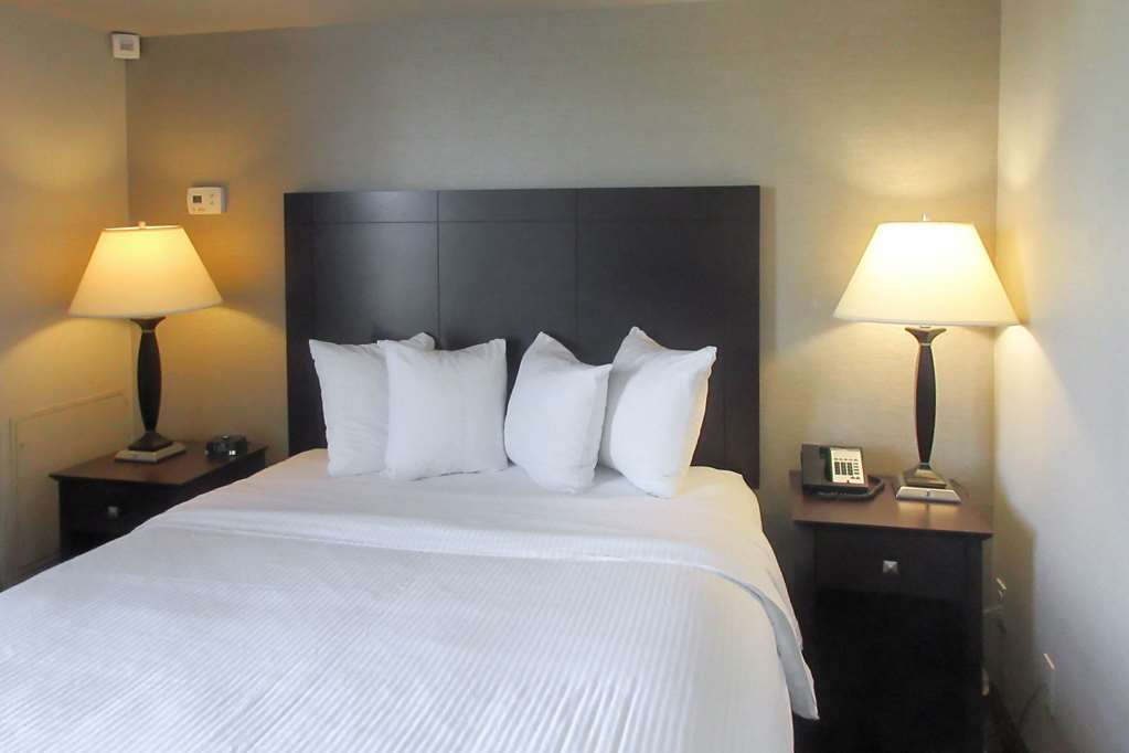 Comfort Inn & Suites Glen Mills - West Chester חדר תמונה